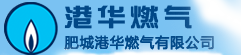 肥城港華燃氣有限公司